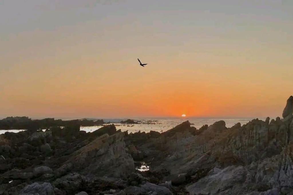 Hermanus Sea View Room Eksteriør billede